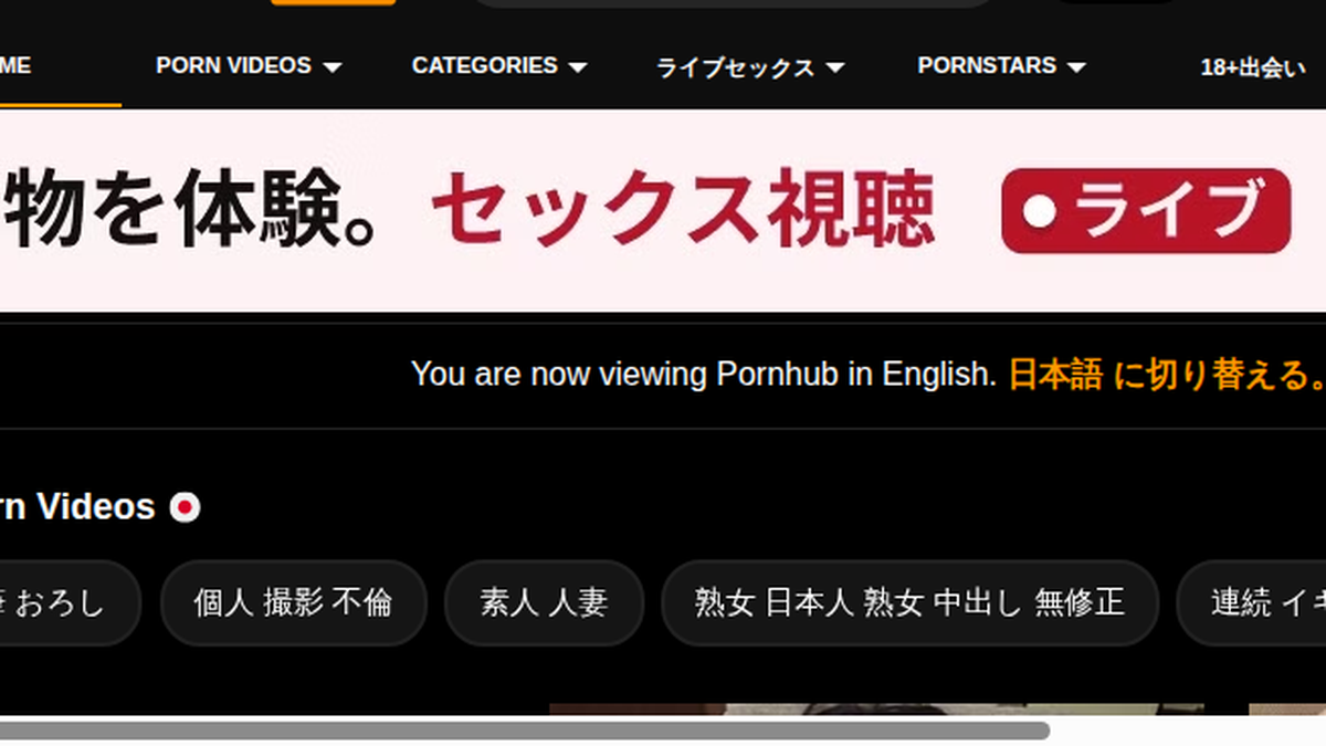 PornHub 웹사이트 미리보기