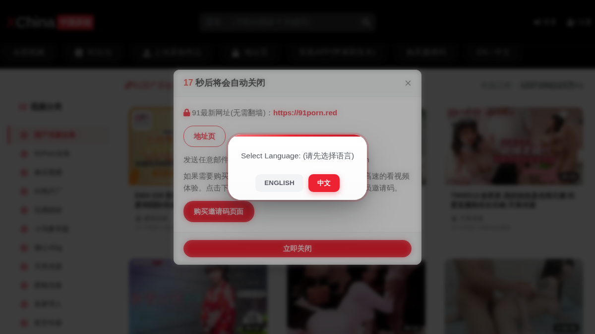 XChina 웹사이트 미리보기